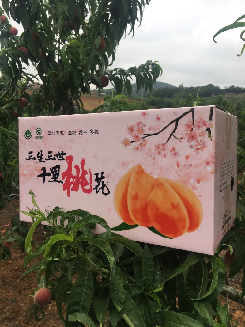 【顺丰包邮】血桃湖北水蜜桃电商微商供应链一件代发落地配