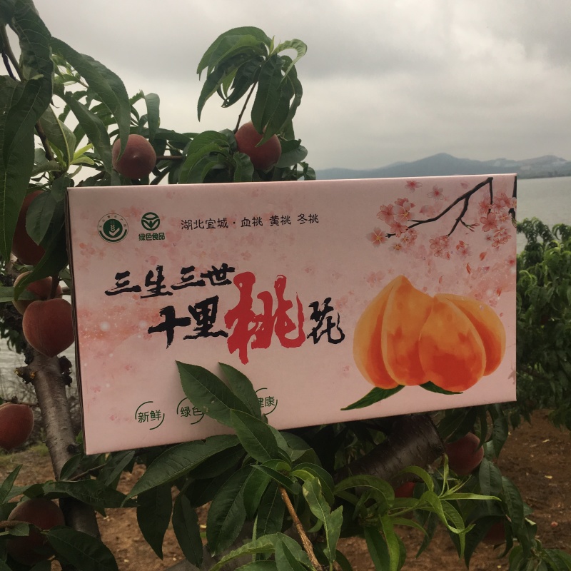 【顺丰包邮】血桃湖北水蜜桃电商微商供应链一件代发落地配
