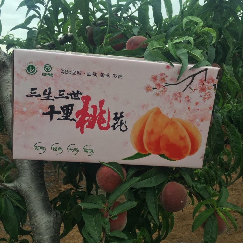 【顺丰包邮】血桃湖北水蜜桃电商微商供应链一件代发落地配