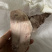 金枪鱼碎肉