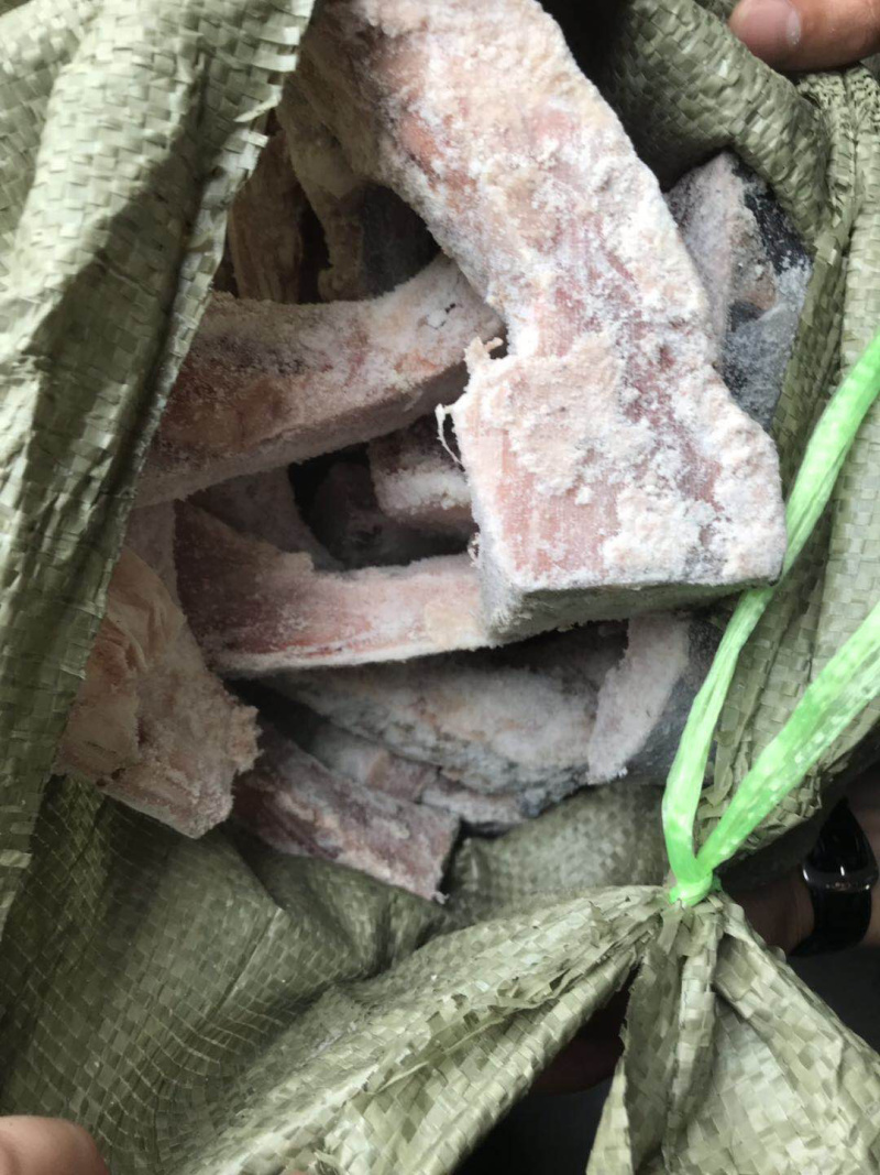 中目金枪鱼脖
