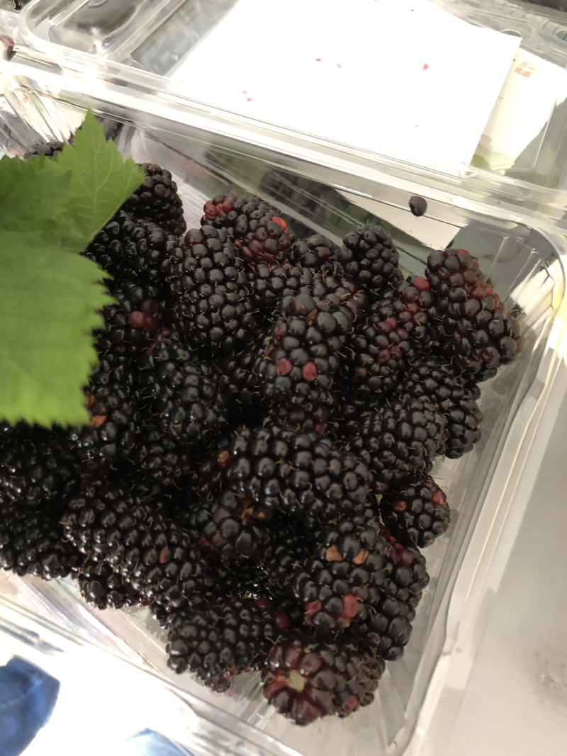 欧洲速冻黑莓