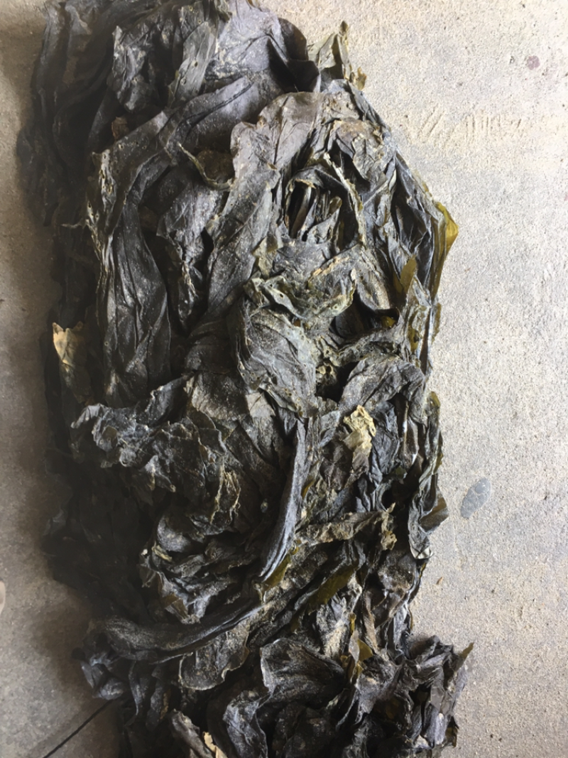 海鲜菜海带基地批发