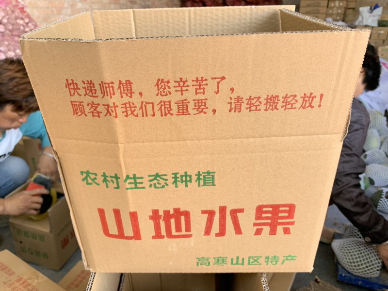 板栗南瓜支持一件代发