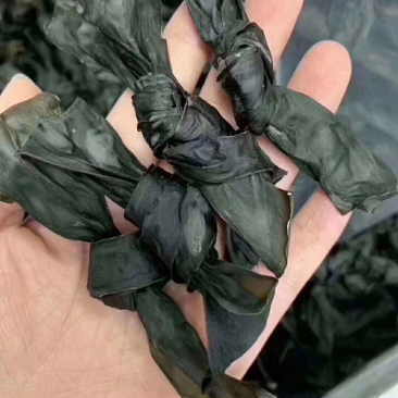 海带结海带丝海带头