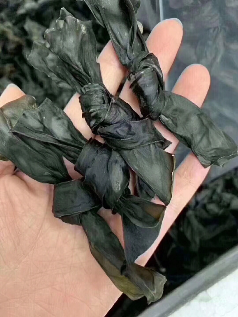 海带结海带丝海带头