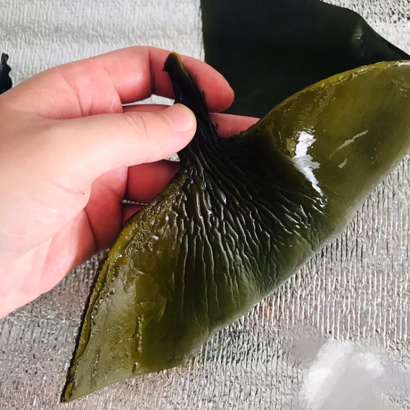 海带结海带丝海带头