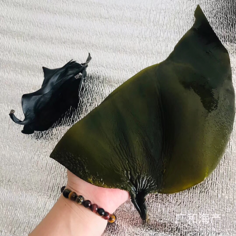 海带结海带丝海带头