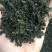蒲公英根茶