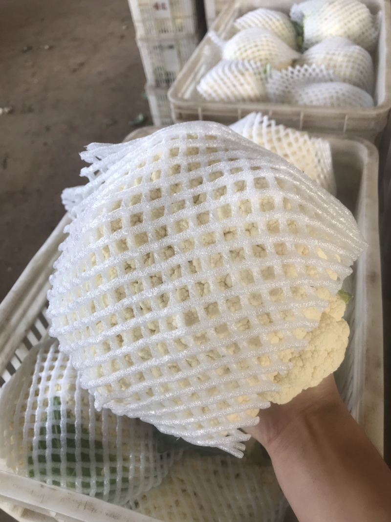 有机花、菜花】青梗白面散花、菜花大量供应、保证质量