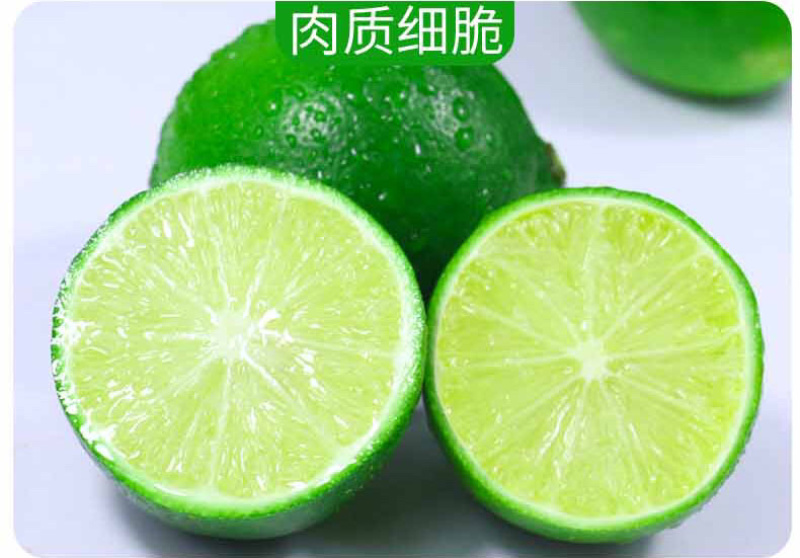 海南青柠檬新鲜包邮5斤装电商代办
