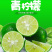 海南青柠檬新鲜包邮5斤装电商代办
