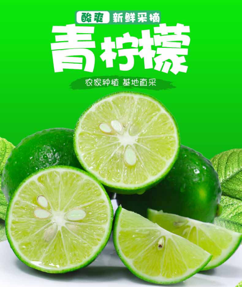 海南青柠檬新鲜包邮5斤装电商代办