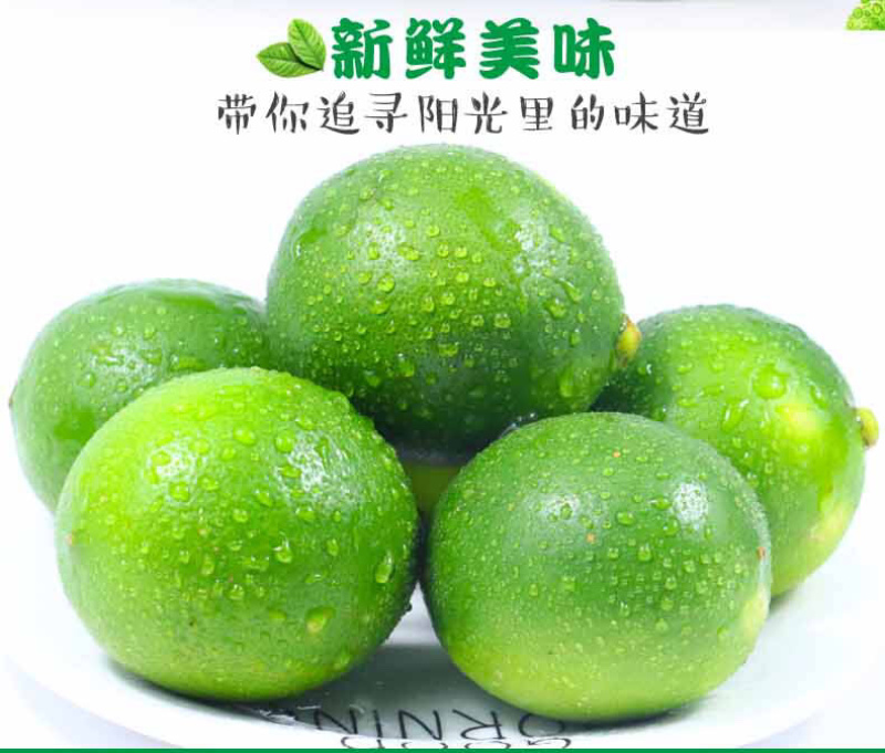 海南青柠檬新鲜包邮5斤装电商代办