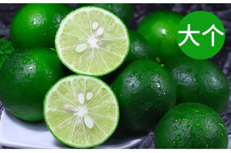 海南青柠檬新鲜包邮5斤装电商代办