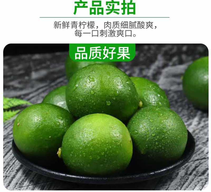 海南青柠檬新鲜包邮5斤装电商代办