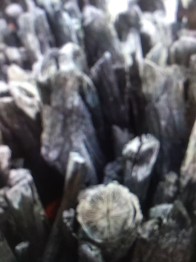 炭栗木炭