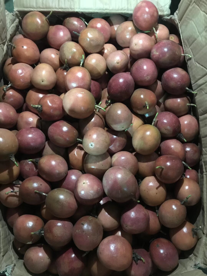 广西百香果