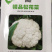 耐热松花菜种子青玉等品种