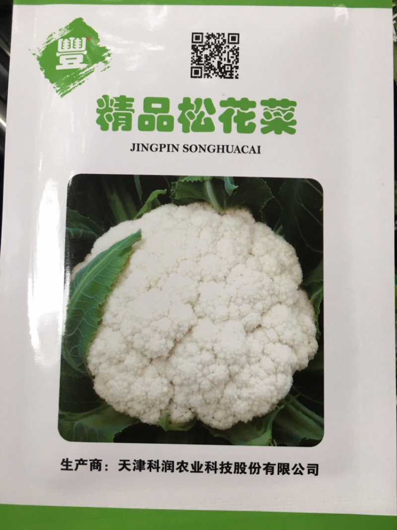 耐热松花菜种子青玉等品种