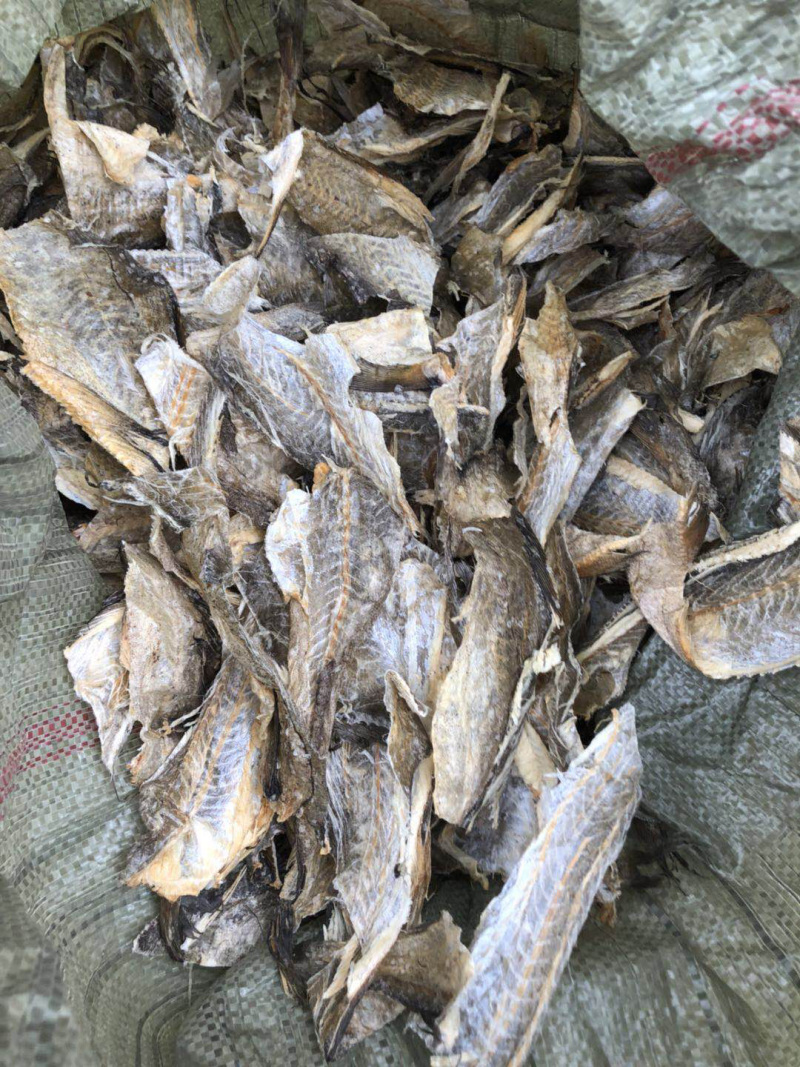 供应真鳕鱼皮，狭鳕鱼皮