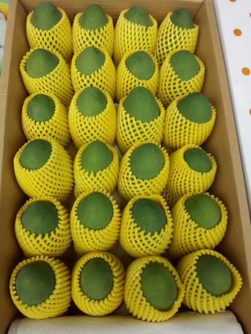 鸡蛋芒攀枝椰香芒果大量上市供应全国市场电商商超