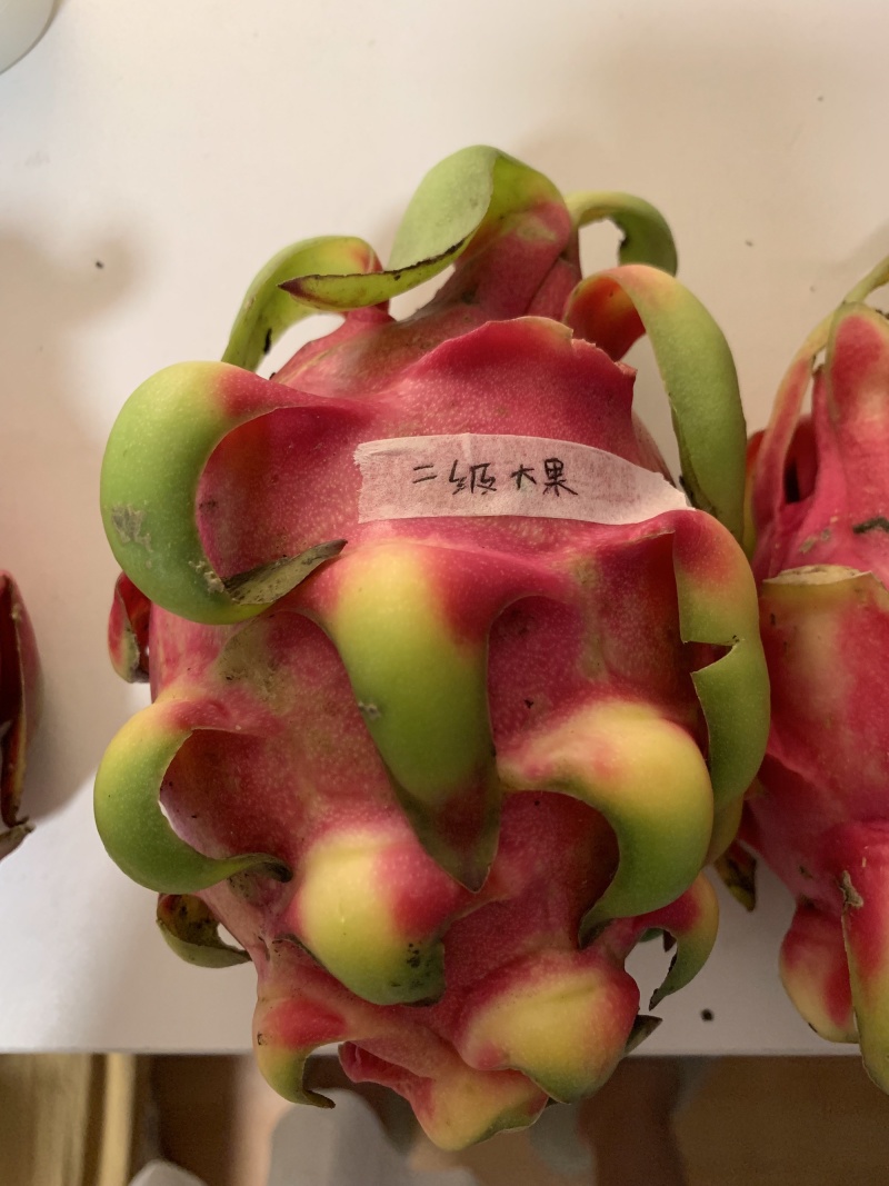产地直供火龙果