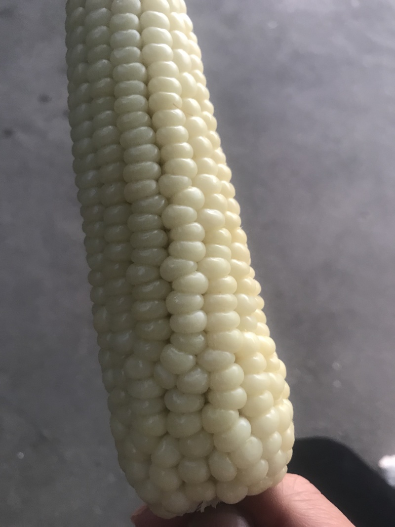 本地玉米糯玉米