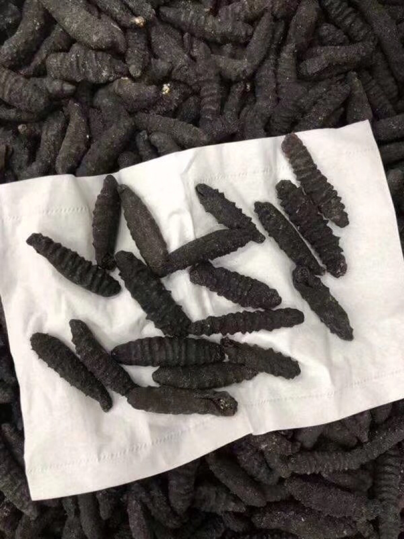 海参干
