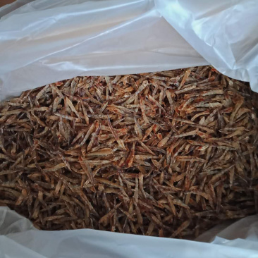 虾干