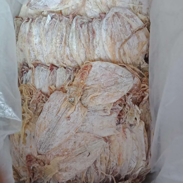 烧烤鱿鱼