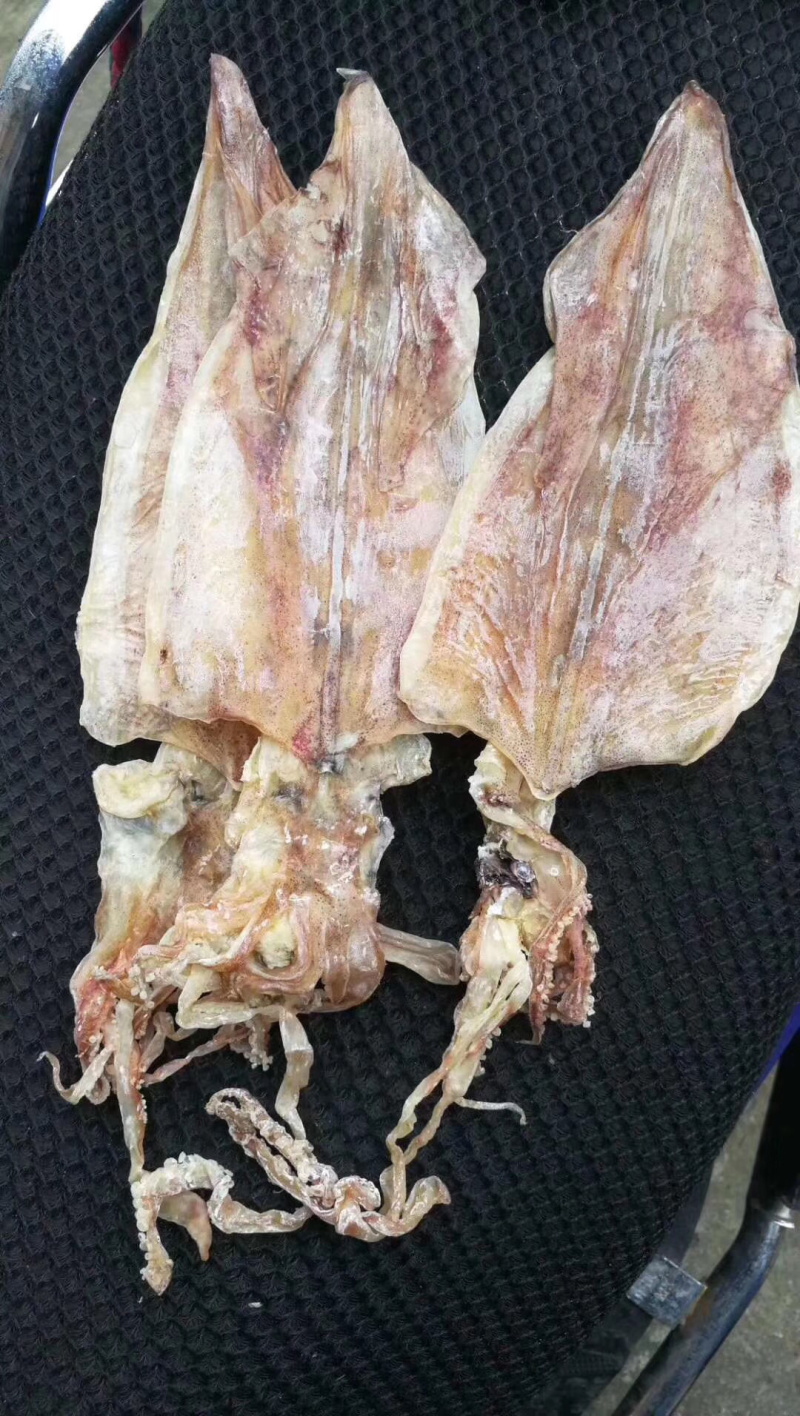 烧烤鱿鱼