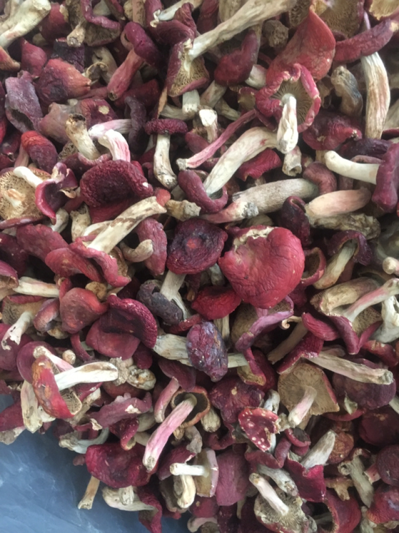 大红菇，云南野生大红菇，二红菇