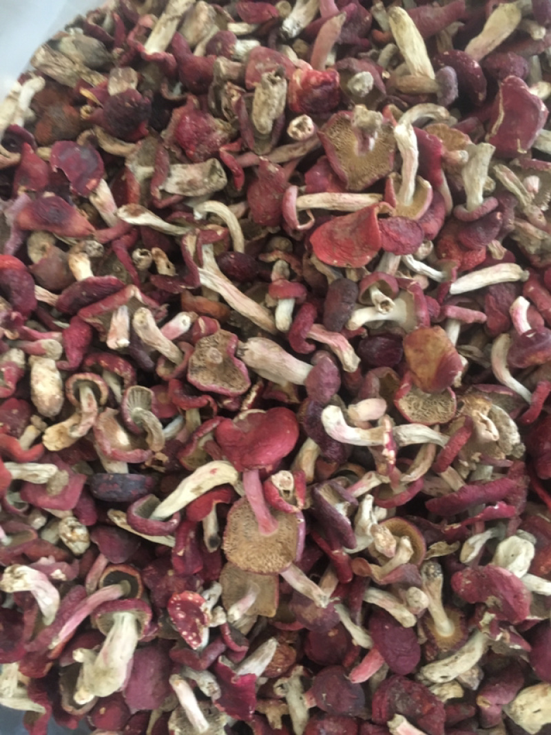 大红菇，云南野生大红菇，二红菇