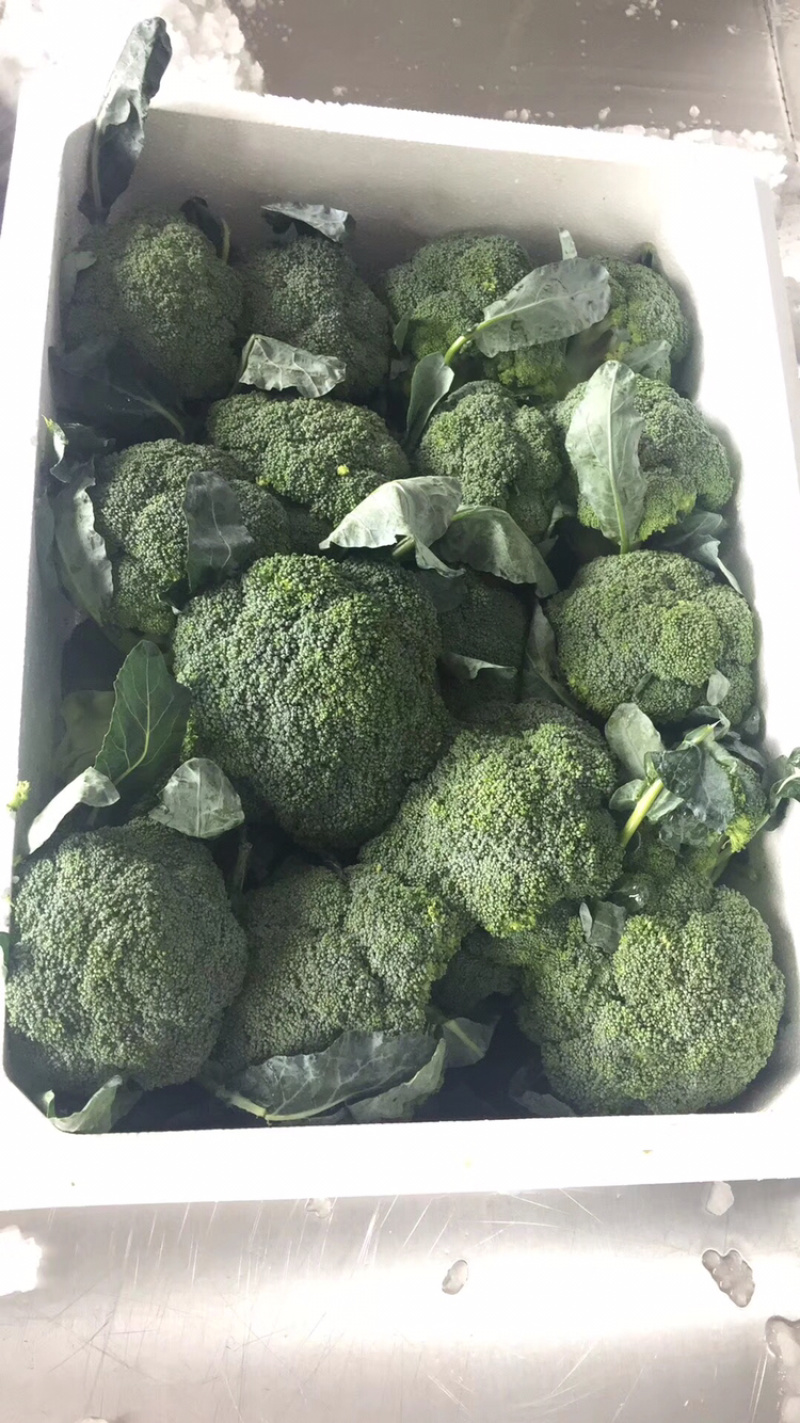张家口沽源县坝上冷库出租，产地大，分租，欢迎联系