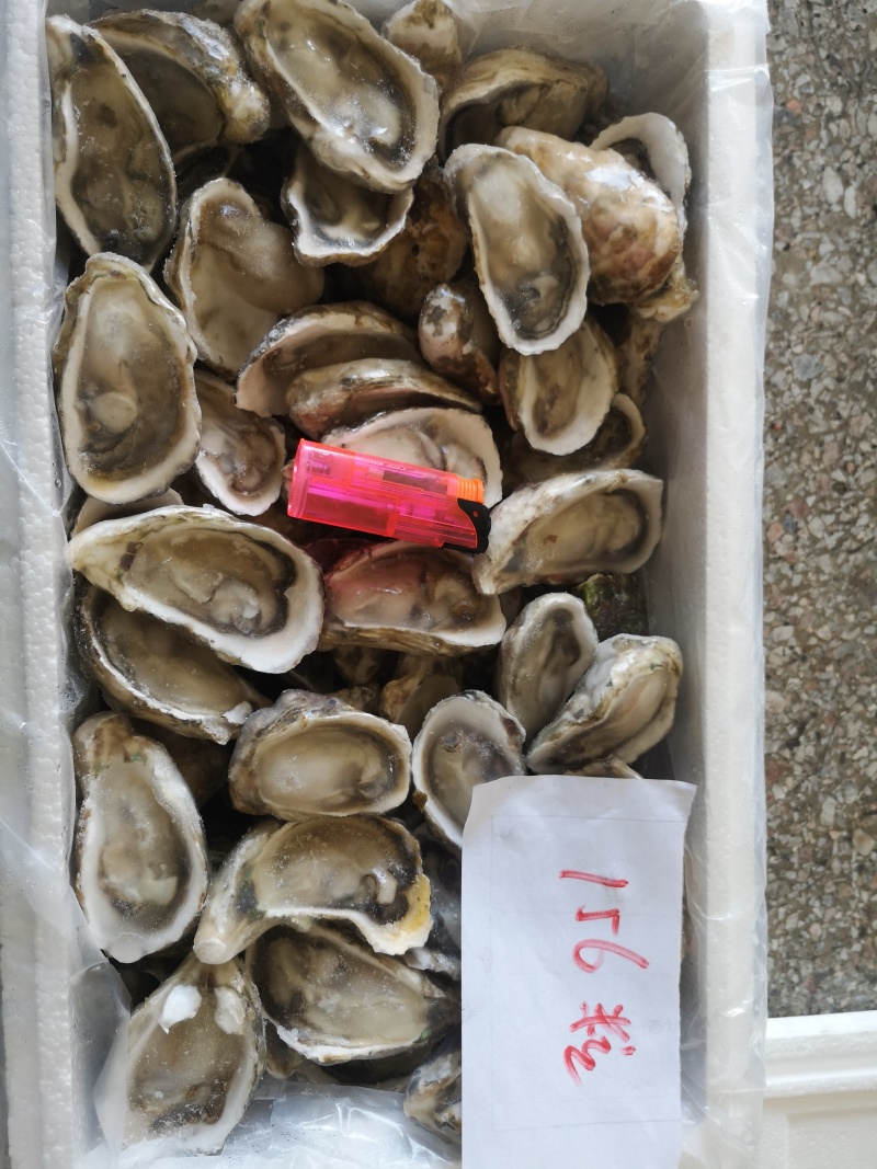 半壳生蚝，男人的加油站，女人的美容院