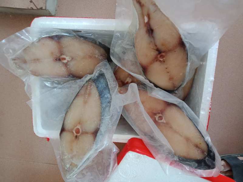 马鲛鱼