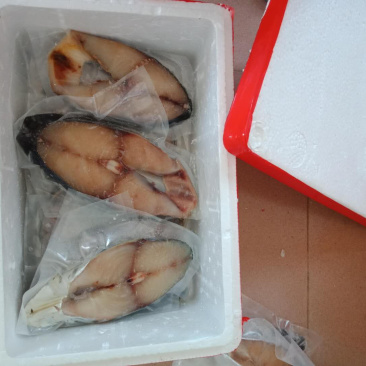 马鲛鱼