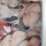 马鲛鱼