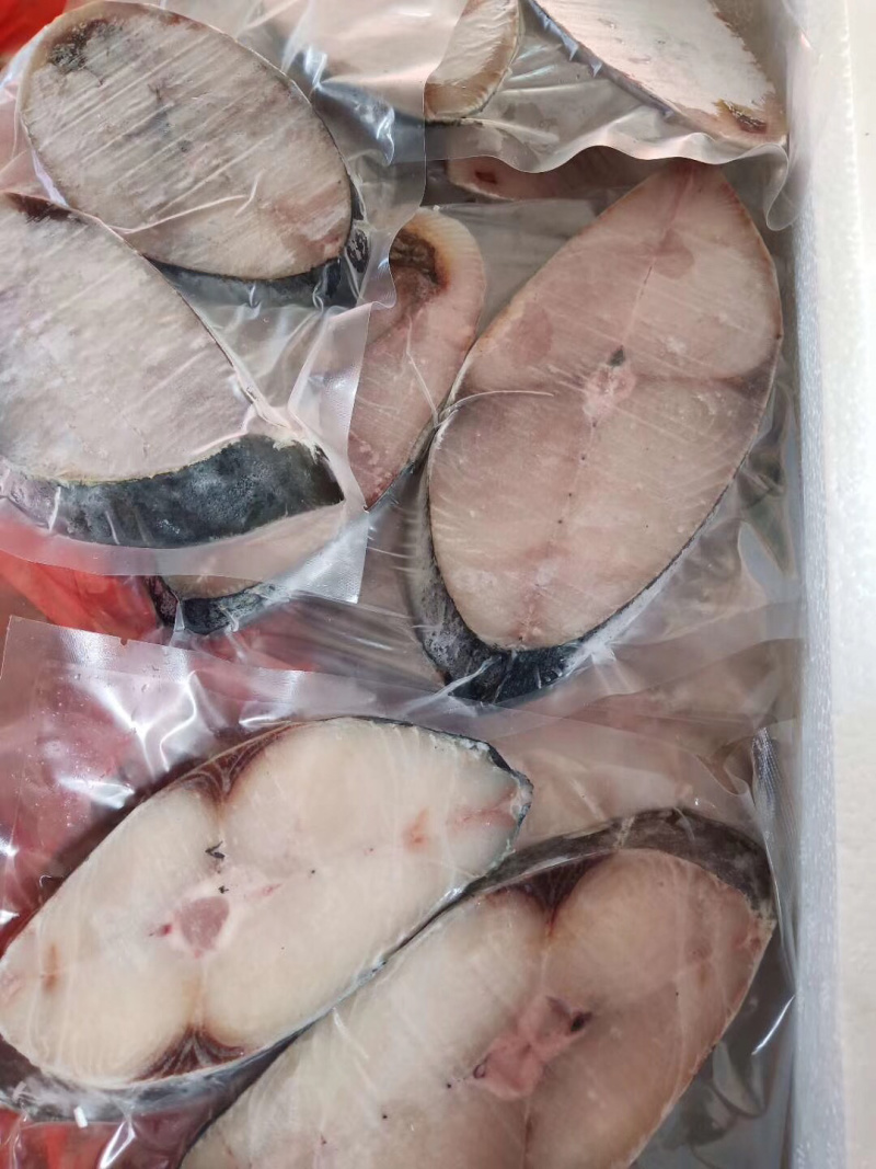 马鲛鱼