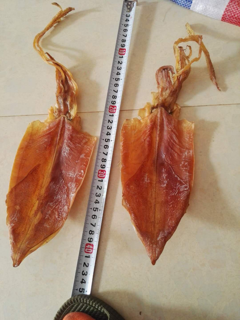 鱿鱼干