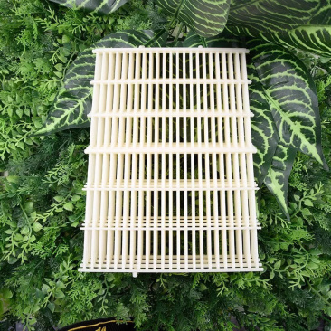 蜂具批发中蜂塑料隔王珊隔王板标准尺寸塑料隔王珊中锋蜂箱用