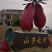 纯红薯粉丝中国山芋之安徽特产厂家**批发商餐饮连锁店