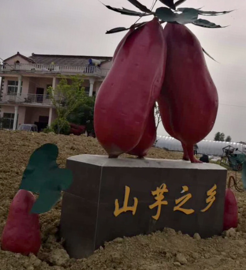 纯红薯粉丝中国山芋之安徽特产厂家**批发商餐饮连锁店