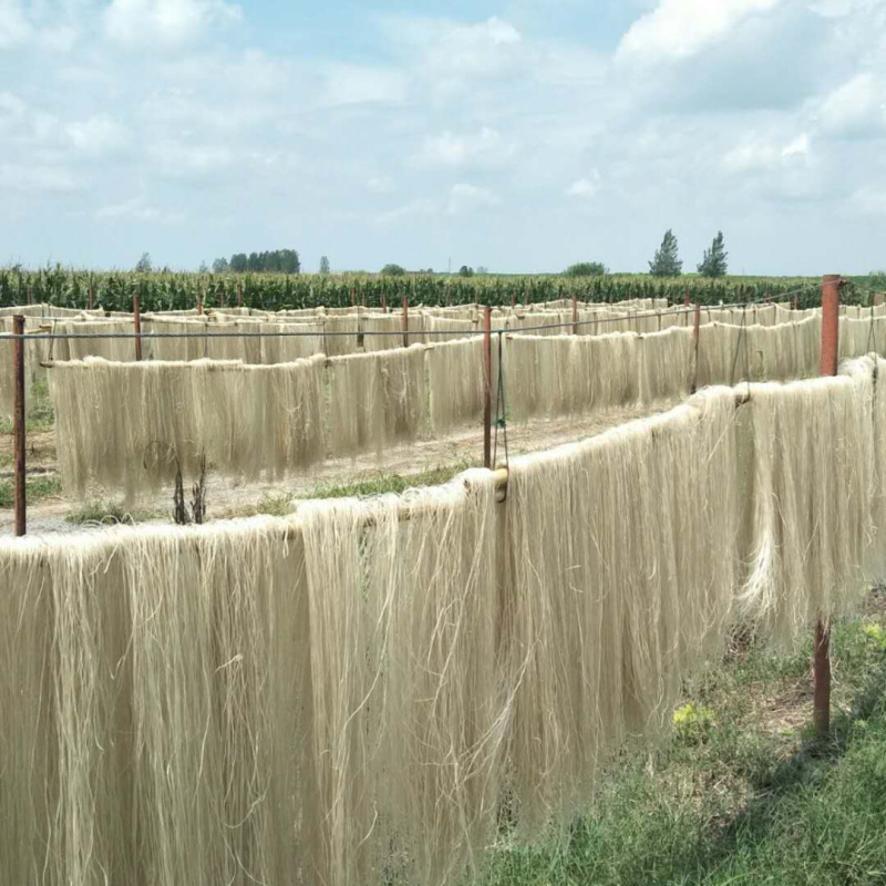 纯红薯粉丝中国山芋之安徽特产厂家**批发商餐饮连锁店