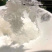 囊丝碎燕饼