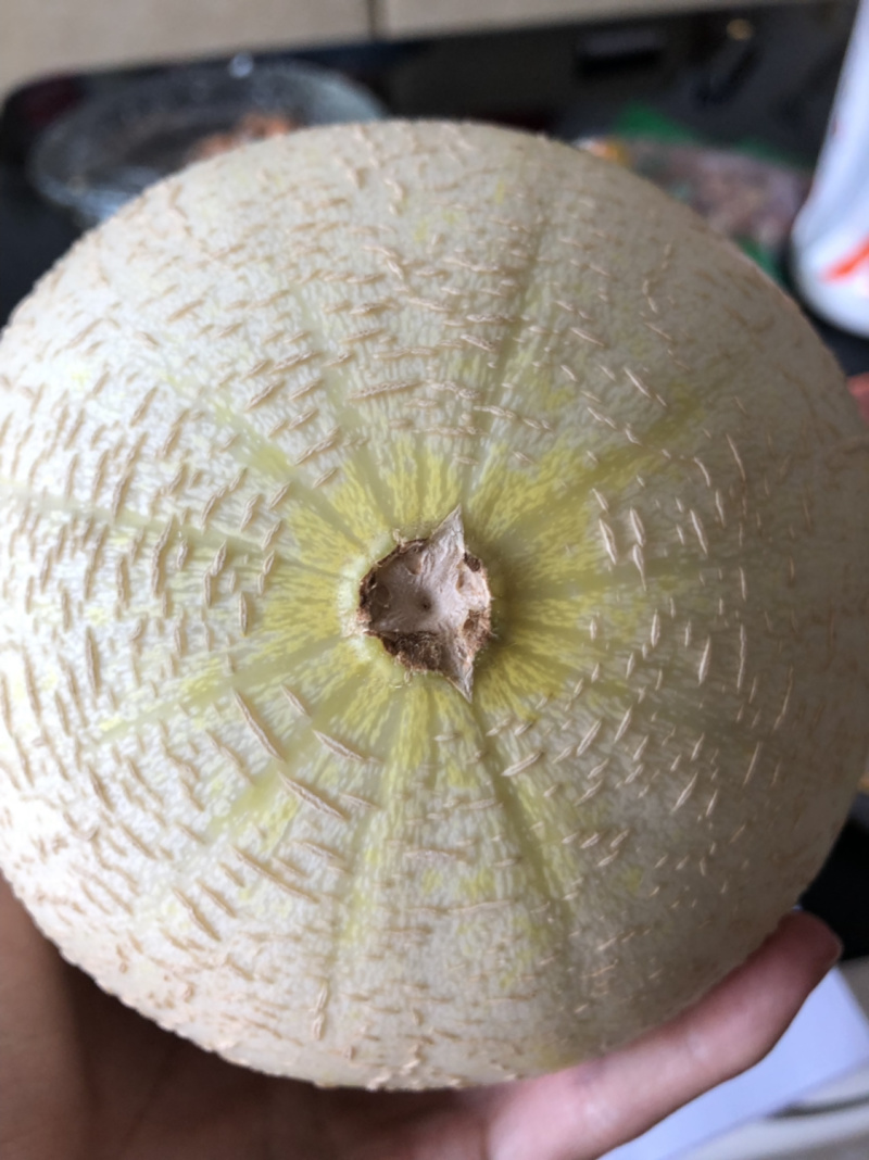 银帝高甜度蜜瓜