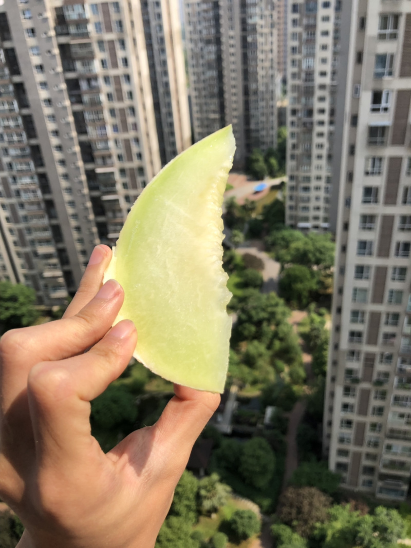 银帝高甜度蜜瓜