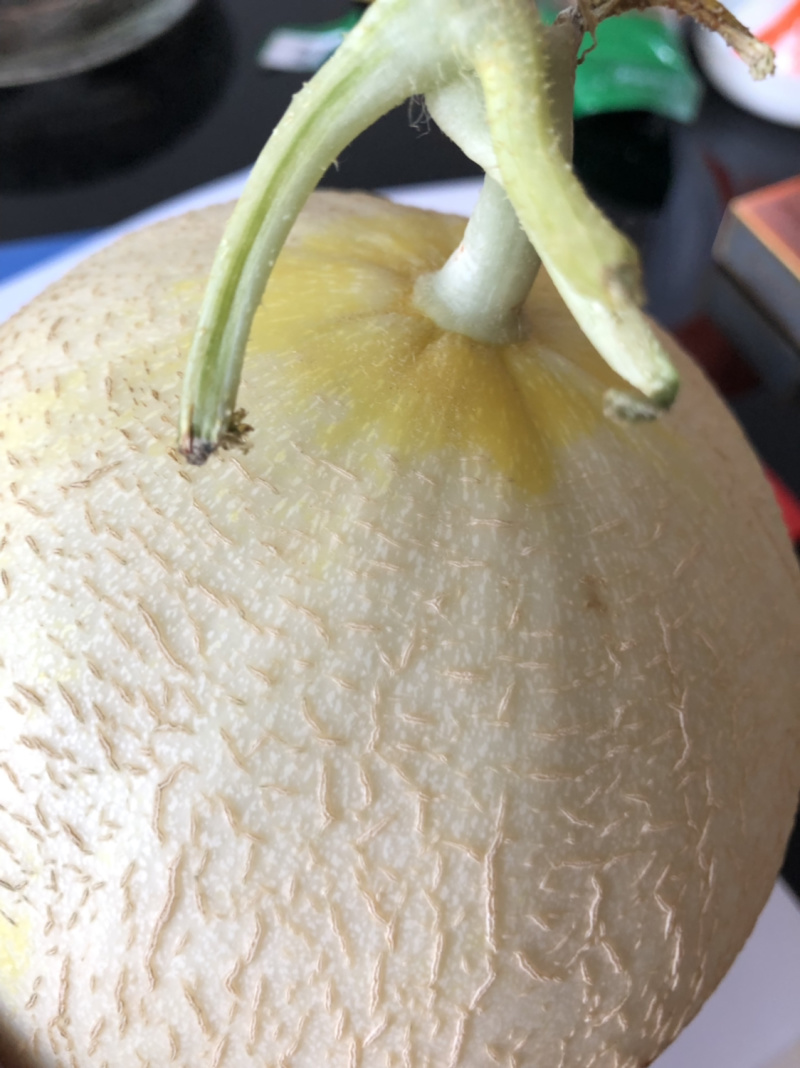 银帝高甜度蜜瓜