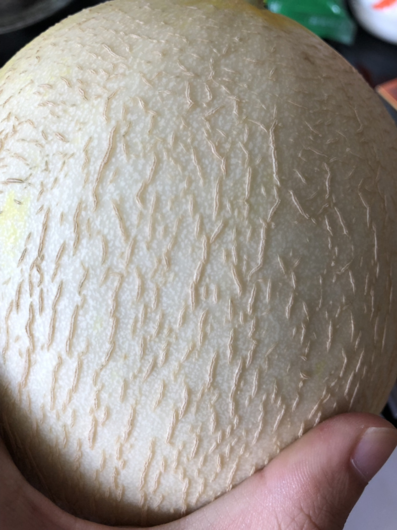 银帝高甜度蜜瓜